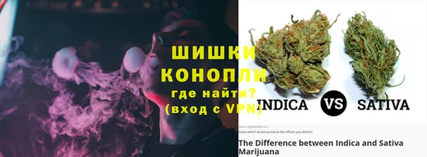 прущие крисы Верея
