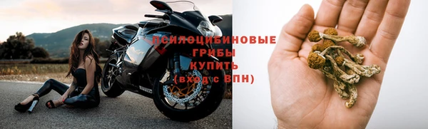 apvp Верхний Тагил