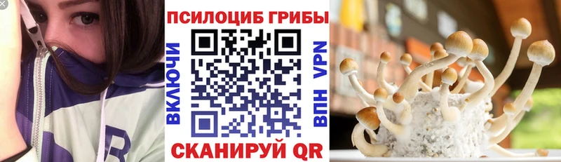 Псилоцибиновые грибы ЛСД Курган