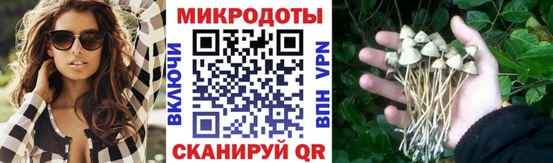 KRAKEN ссылка  Курган  Псилоцибиновые грибы MAGIC MUSHROOMS 