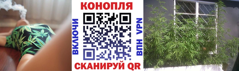 Конопля THC 21%  Курган 